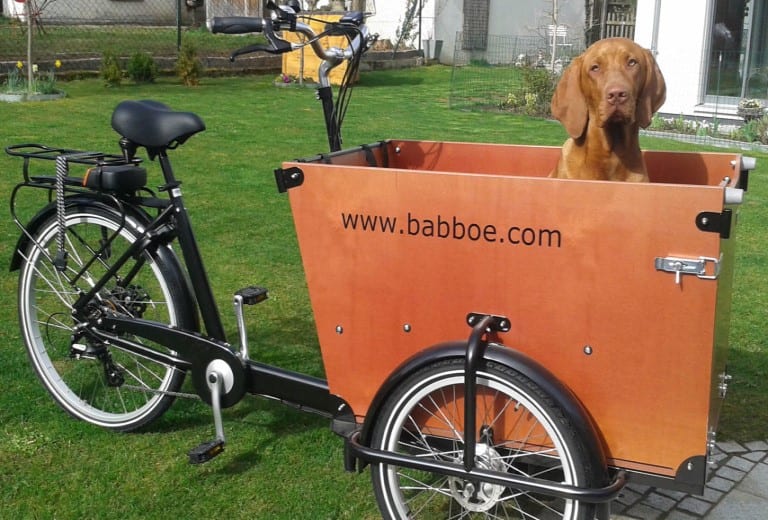 Wunderschone Babboe Dog E Der Perfekte Begleiter Fur Mensch Und Hund